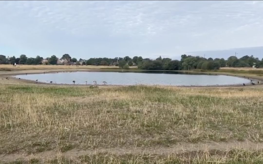 Contemplative Prayer (09.08)