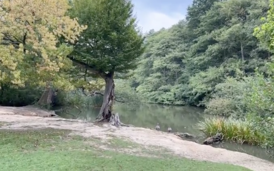 Contemplative Prayer (20.09)