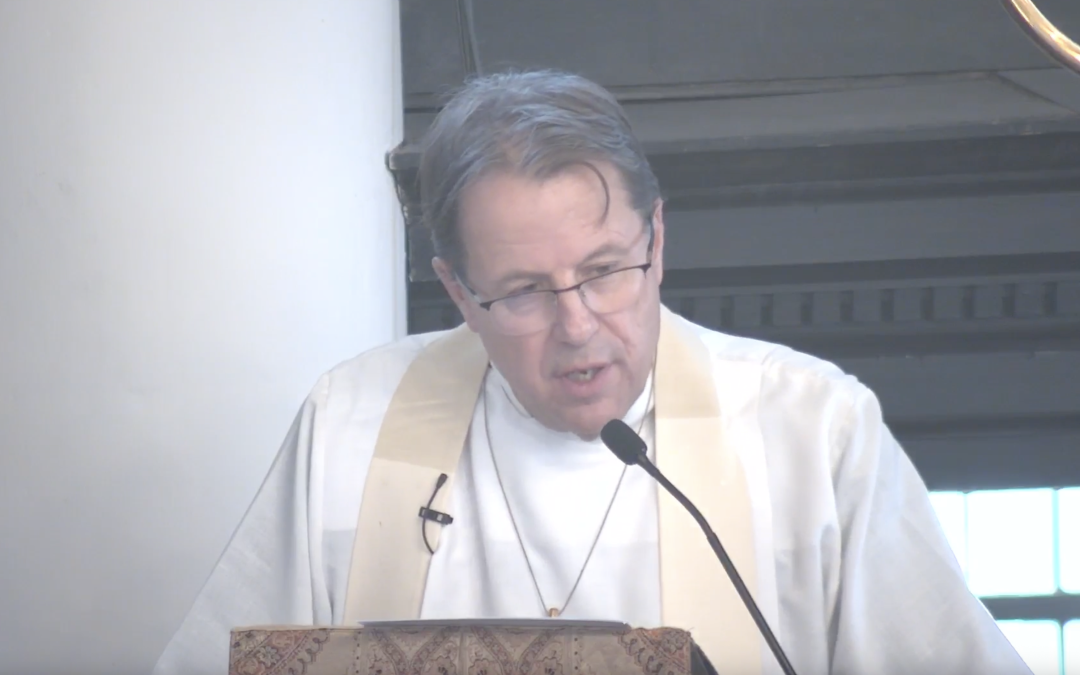 Sermon (23.11)