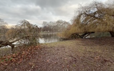 Contemplative Prayer (17.01)