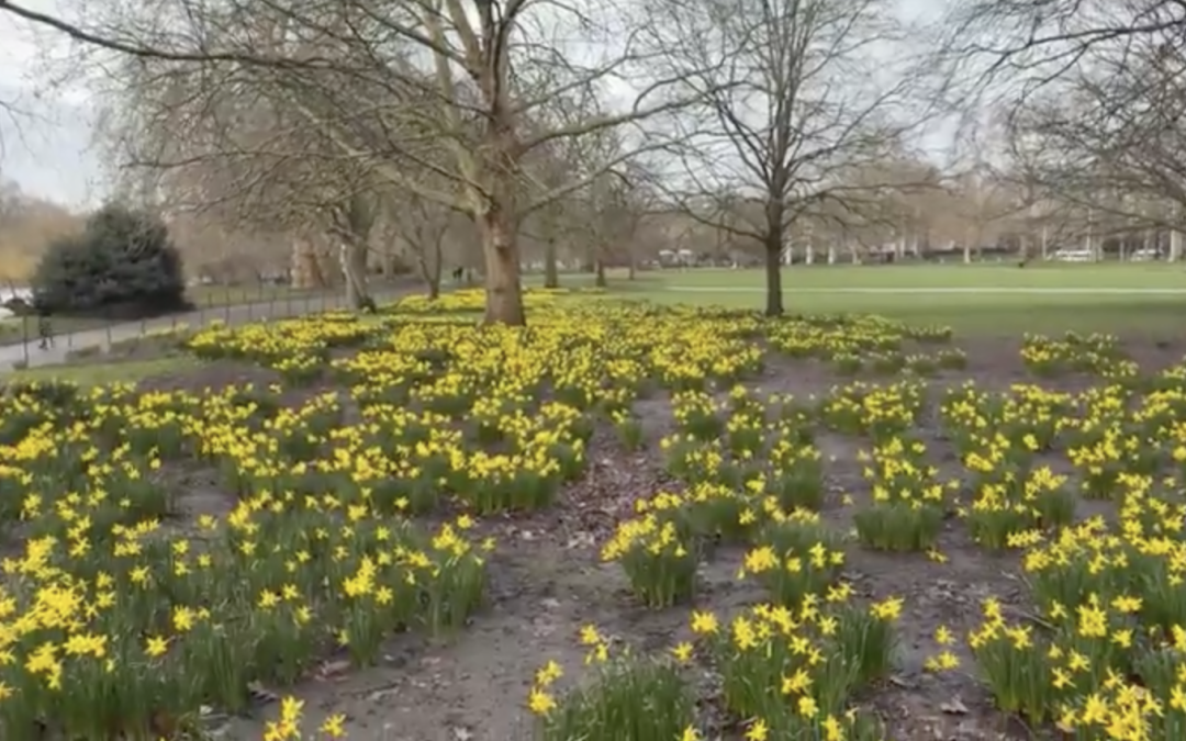 Contemplative Prayer (21.02)