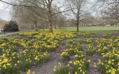 Contemplative Prayer (21.02)