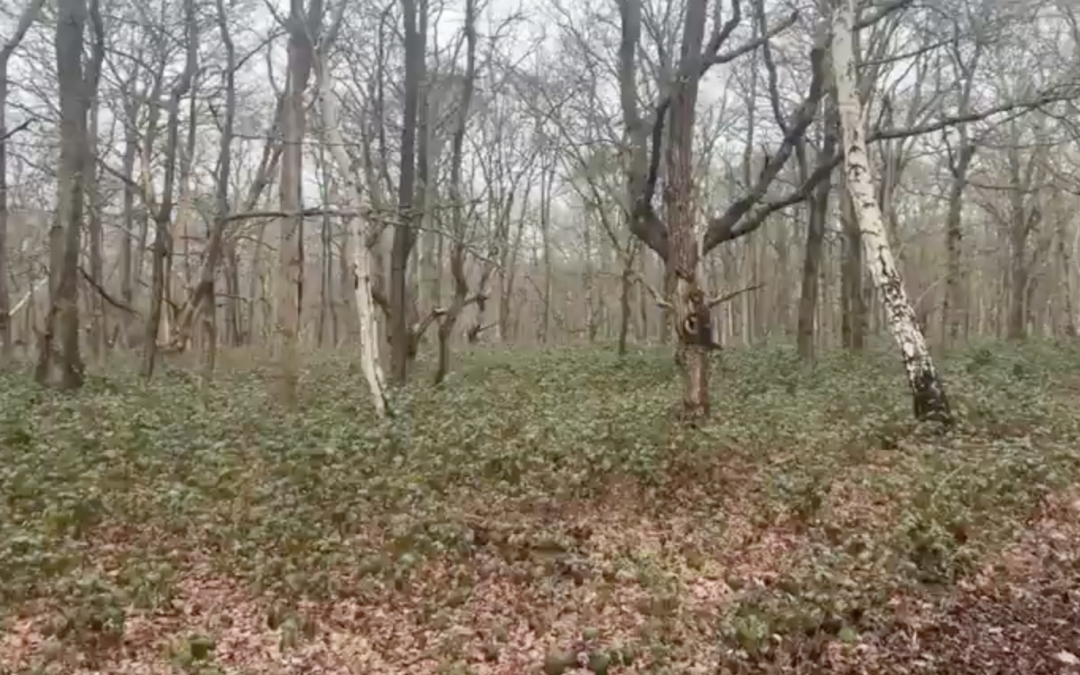 Contemplative Prayer (07.03)