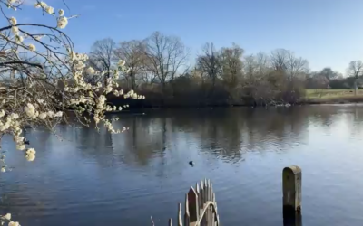 Contemplative Prayer (14.03)