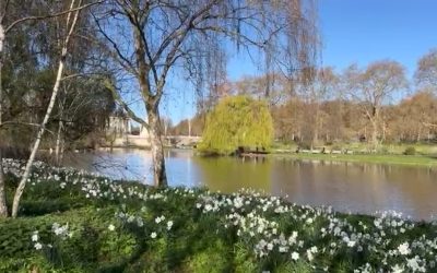 Contemplative  Prayer (28.03)