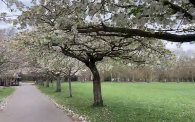 Contemplative Prayer (04.05)