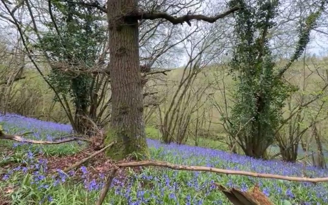 Contemplative Prayer (11.04)