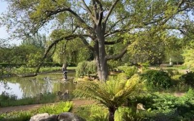 Contemplative Prayer (23.05)