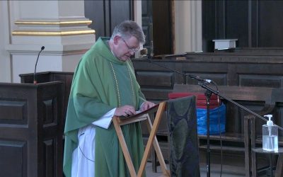 Reflections from Bread for the World (05.08)