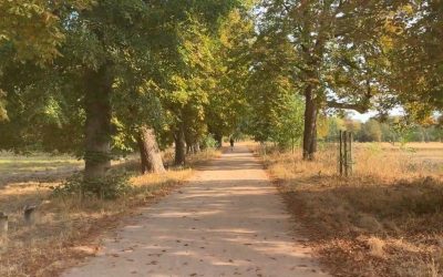 Contemplative Prayer (15.08)